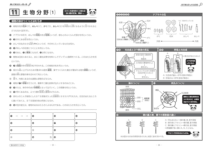 高校入試 理科の基礎が固まる問題集 2023年春受験用 (きそもん